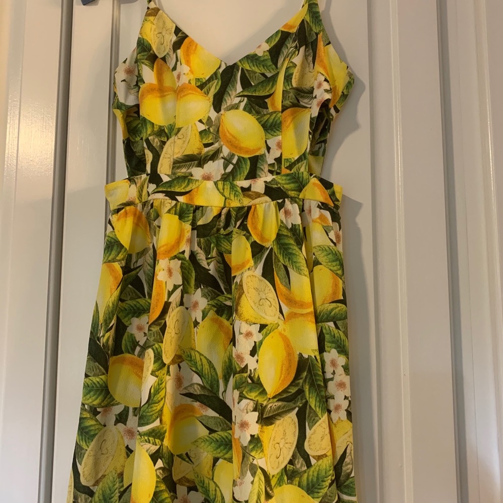 Show Me Your Mumu dress